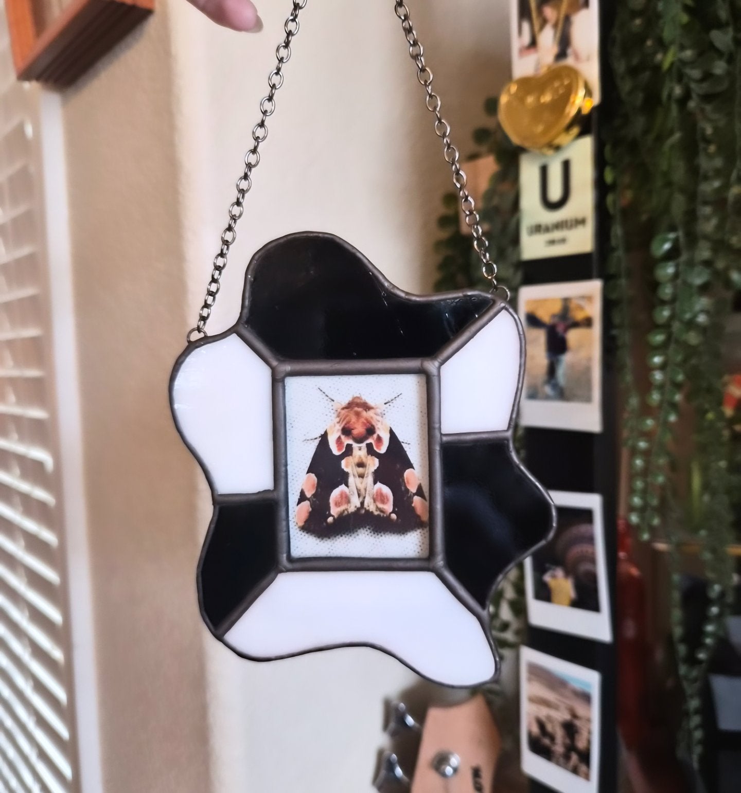 Black and white Polaroid frame