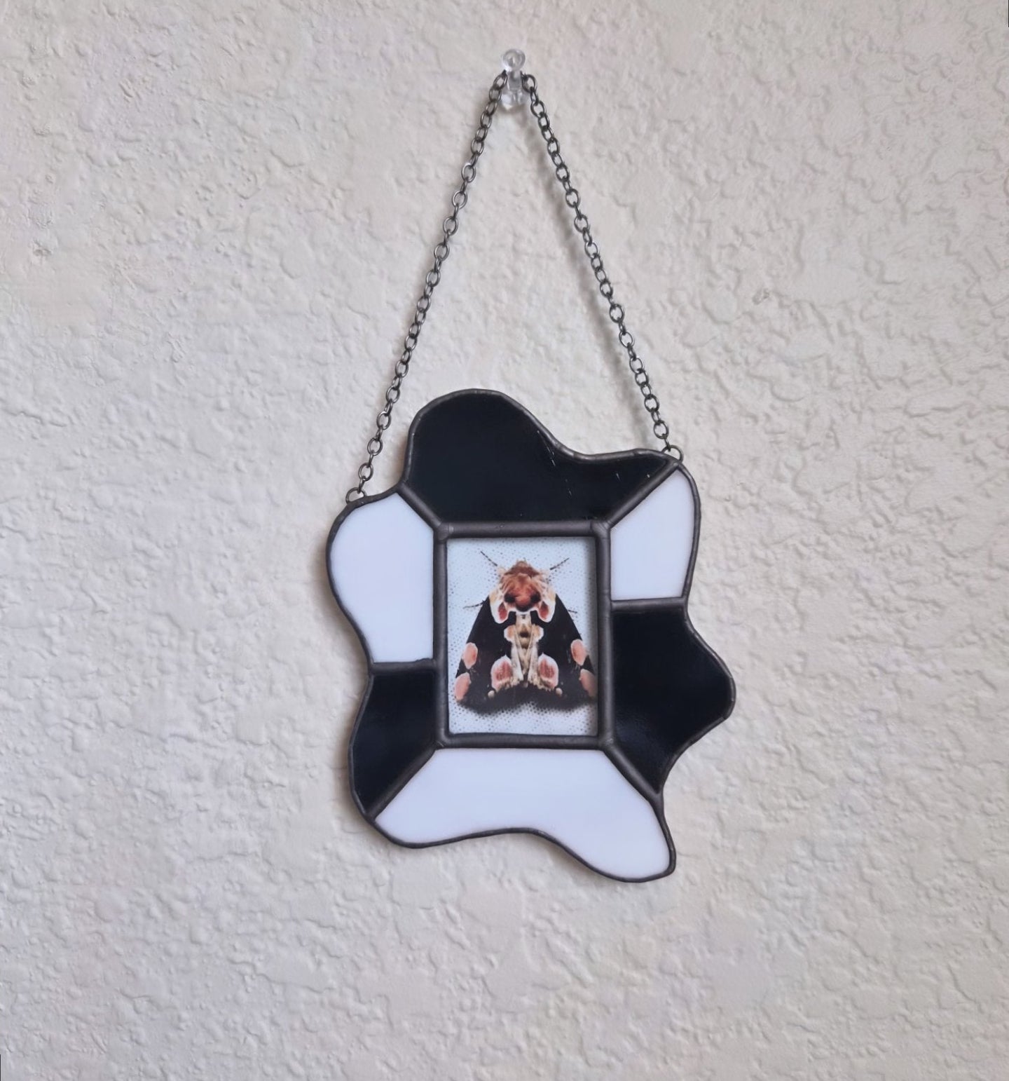 Black and white Polaroid frame